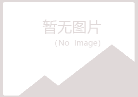 克山县依赖会计有限公司